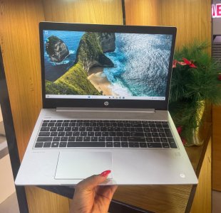 HP ProBook 455 G6, Intel Core i5, 8GB RAM, 256GB SSD NVMe.